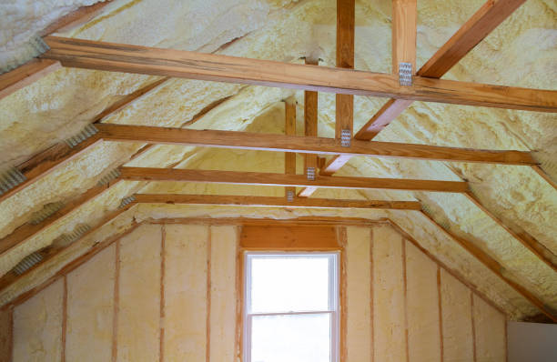 Best Home Insulation Services  in Holiday, FL