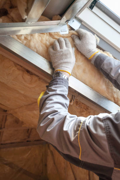 Best Best Insulation Companies  in Holiday, FL