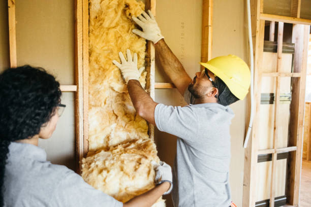 Best Insulation Replacement Services  in Holiday, FL