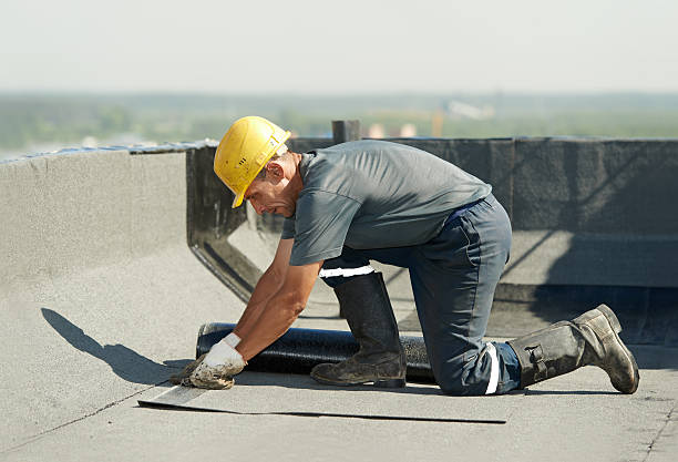 Best Insulation Inspection Services  in Holiday, FL