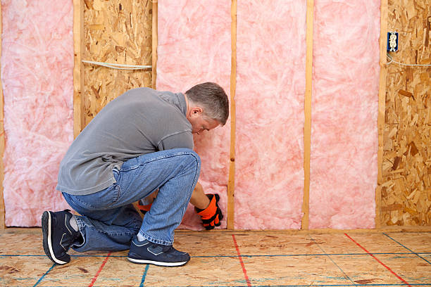 Best Cellulose Insulation  in Holiday, FL